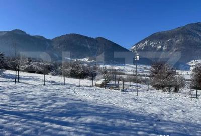 Teren de 1000 mp, în Tohănița