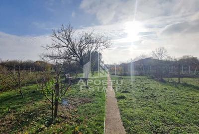 Casa spatioasa, teren generos, Giarmata - 21