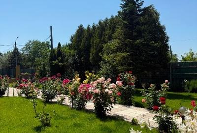 Vila individuala cu piscina Cornetu jud Ilfov - 13