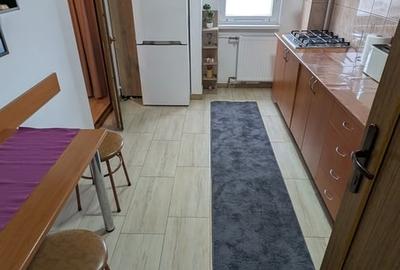 Garsonieră decomandată, mobilată în P-ța Muncii - 14