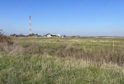 Teren de 22000 mp, în Livada - 14