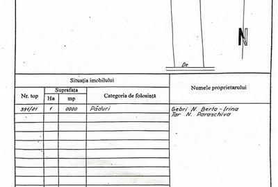 Spațiu comercial, în Bercu - 3