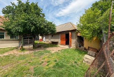 Casă cu 3 camere cu Teren 3014 Mp în Gepiu - 4