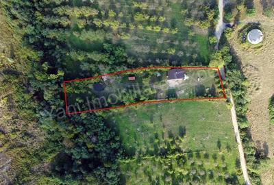 Casă cu 4 camere cu Teren 5051 Mp în Corbeni - 3