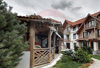 Hotel boutique/ Pensiune, renovat recent,  zona naturala ,  14 camere - 18