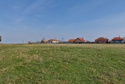 Spațiu comercial, în Blajova - 6