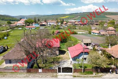 Casă cu 8 camere cu Teren 1130 Mp în Moacșa - 8