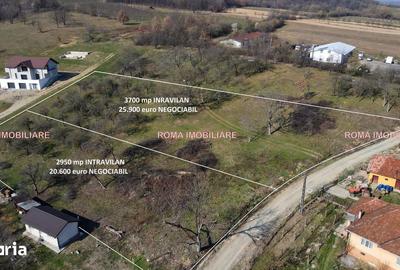 Teren de 6650 mp, în Remetea Chioarului - 10