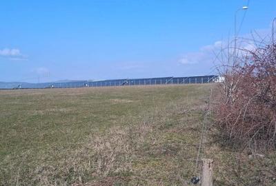 Teren de 8100 mp, în Central - 2