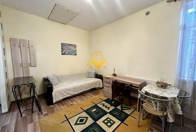 1 camera open space, 2 parcari, curte proprie, FSEGA, Iulius Mall - 1