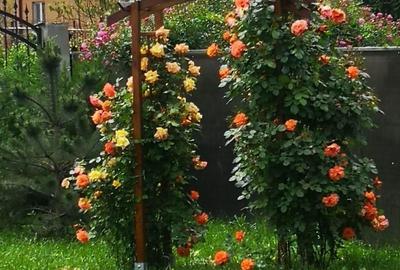 Casă individuală cu 5 camere cu Canalizare în Nord-Vest - 35