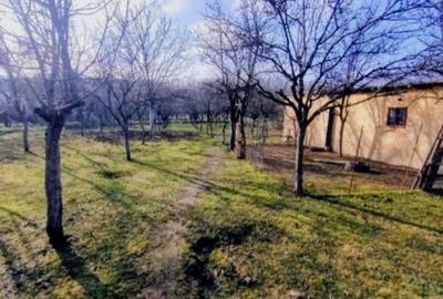 Casă cu 4 camere în Mârghia de Jos - 2