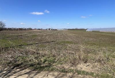 Spațiu comercial, în Falaștoaca - 2