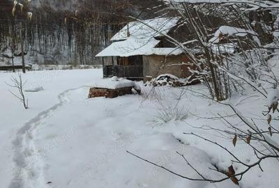 Casă cu Teren 2000 Mp în Scrind-Frăsinet - 10