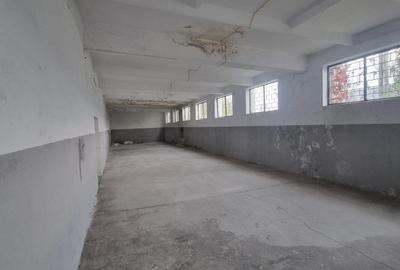 Închiriere Hală / Spațiu pentru Depozitare sau Producție – Zona Industrială Est, - 3