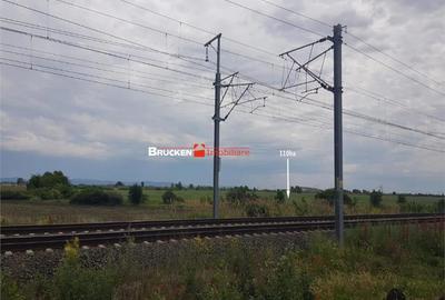 113,21 ha in nordul Aradului, la iesirea de pe drumul expres - 1