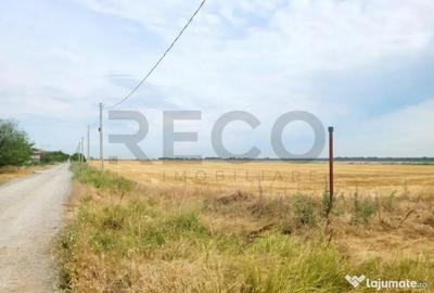 Teren de 17167 mp, în Șinteu - 6