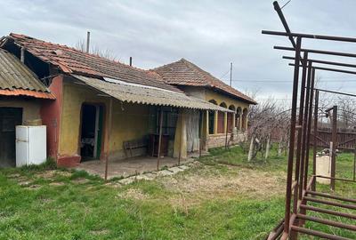 Casă cu 3 camere în Năsturelu - 3