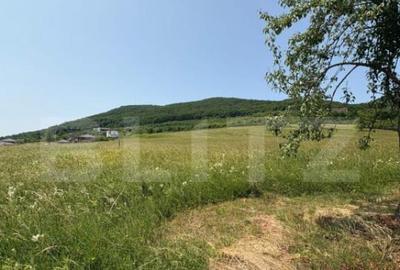 Teren Intravilan, 2.600 mp, zona Metaller, Viisoara - 2