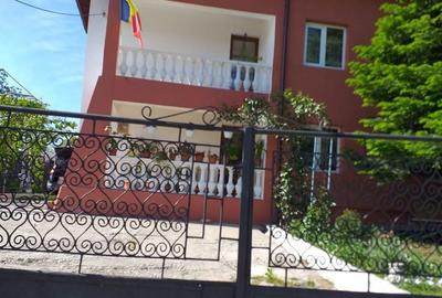 Casă cu 4 camere în Iancu Jianu - 8