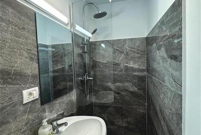 Casă individuală cu 1 camere în Bogdăneștilor - 8