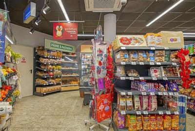 Spațiu comercial, de 248 mp, în Scriitorilor - 15