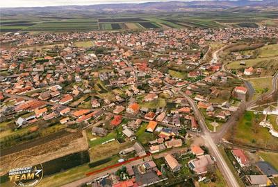 FILM! Gospodarie cu atmosfera traditionala,1.032 mp de verde si gradinarit, Sanzaieni, Covasna - 13