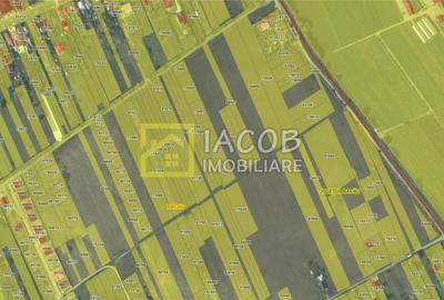 𝐓𝐞𝐫𝐞𝐧 𝐢𝐧𝐭⻑ - 2