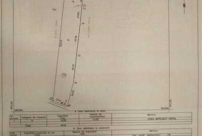 Teren de 4229 mp, în Băicoi - 3