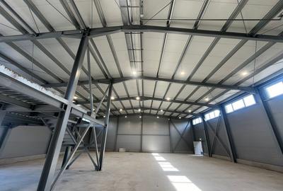 Spațiu industrial, de 597 mp, în Theodor Pallady - 1