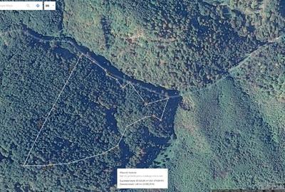 Teren de 85000 mp, în Dobra - 4