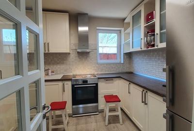 Casa de vacanta | Curte | Teren | Belciugatele | Calarasi - 18