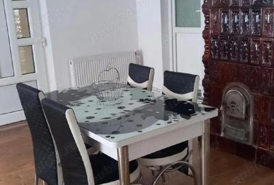 Casă cu 2 camere cu Teren 10000 Mp în Sanislău - 3