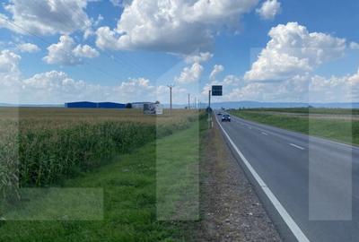 Oportunitate teren 1HA, front 191 m, Reci, nod de tranzi - 1