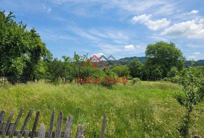 Casă cu Teren 3399 Mp în Brebu - 3