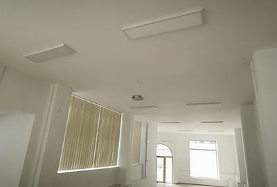 Spatiu comercial Ultracentral, 900 mp - 3