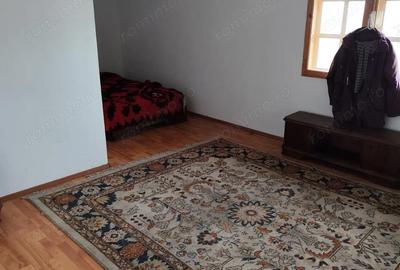 Spațiu comercial, de 240 mp, în Ștubeiu - 6