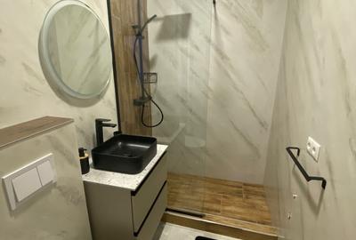 Apartament de închiriat, 2 camere, 50 mp, Horea zona UBB litere - 10