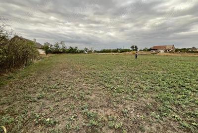 Teren de 3000 mp, în Checea - 12