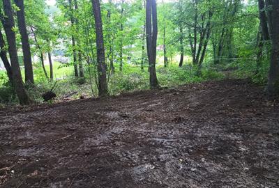 Spațiu comercial, în Făget - 8