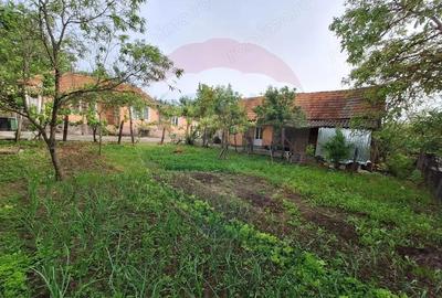 Casa cu teren 3100mp in Hidiselu de Sus - 12