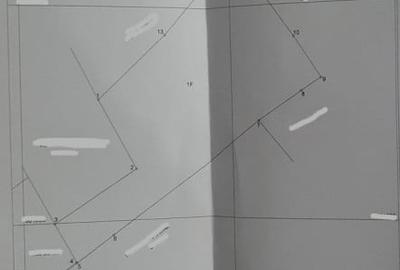 Casa de vanzare Targu Lapus zona centrala cu teren 3800mp si anexe - 4