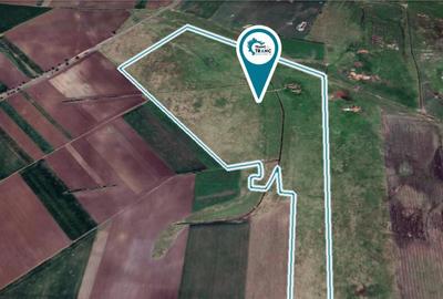 Teren pasune de 42,5 ha, comasat 100% pretabil pentru parc fotovoltaic - 3