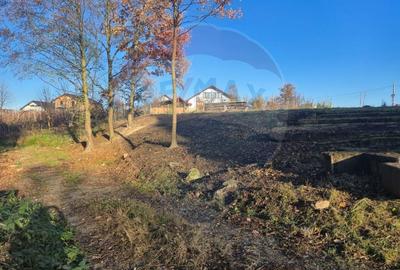 De vanzare teren intravilan in Recea, ultima parcela disponibila! - 11