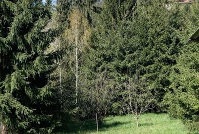 Spațiu comercial, în Central - 1