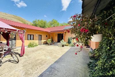 Casă cu 6 camere în Crivina - 5