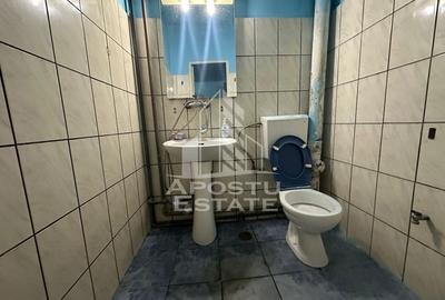 Apartament cu 2 camere, parter, zona Sagului Apartament cu 2 camere, parter, zona Sagului - 6