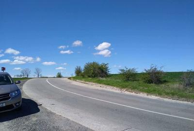 Teren de 17800 mp, în Mischii - 1