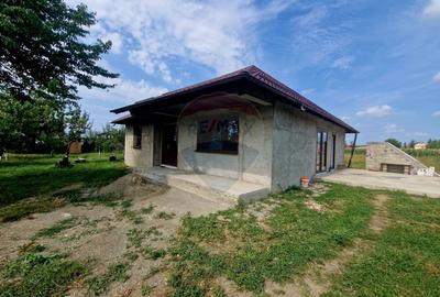 Oaza de liniste: casa cu livada si teren generos - Girov - 52