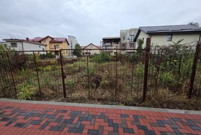 Nicolae Grigorescu, chiar la pasajul peste Splaiul Unirii, in planul 2 - 2